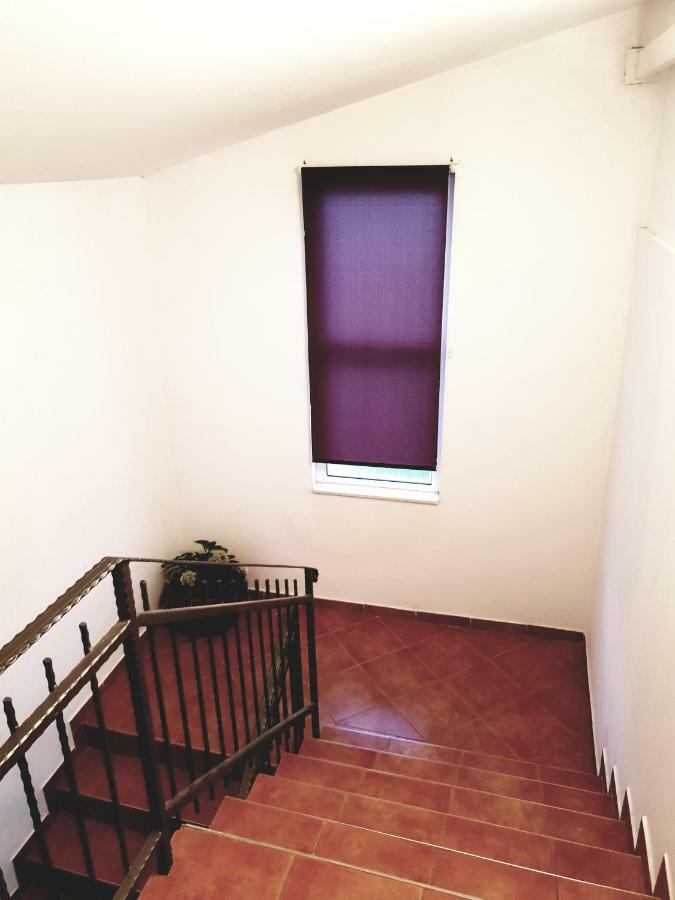 Apartments Petrovic 皮罗瓦茨 外观 照片